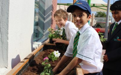 UAE: School heads welcome announcement of calling 2023 the ‘Year of Sustainability’