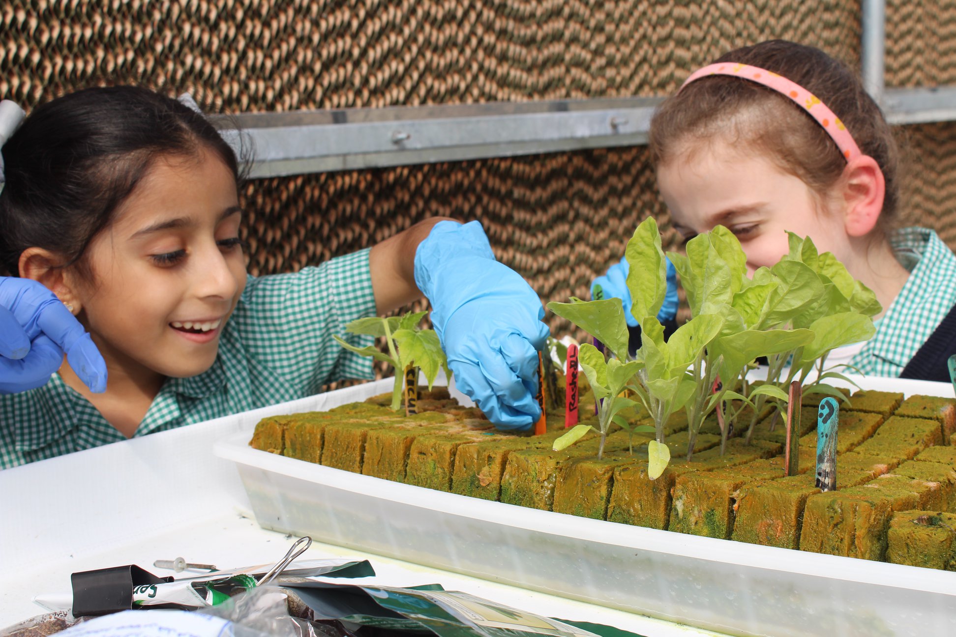 تدريس الاستدامة Teaching Sustainability