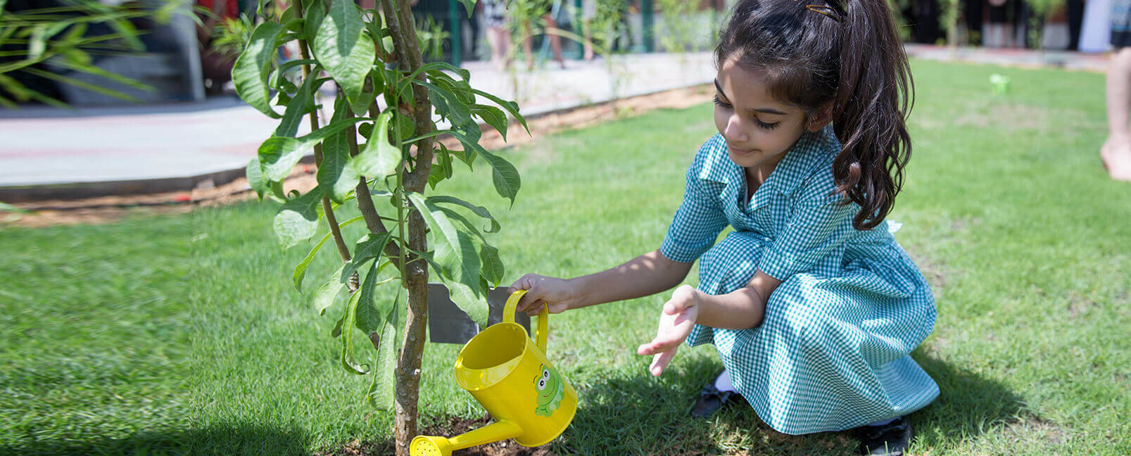 Aspen Heights British School in Abu Dhabi - a focus on the local environment