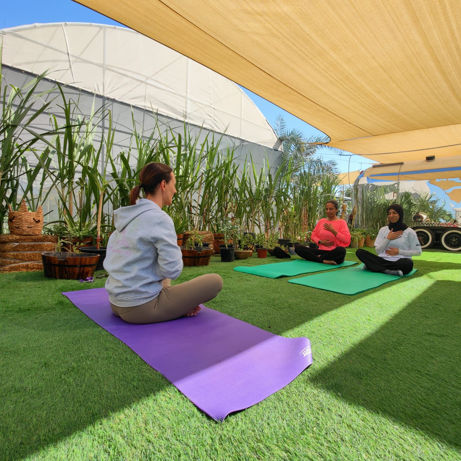 yoga