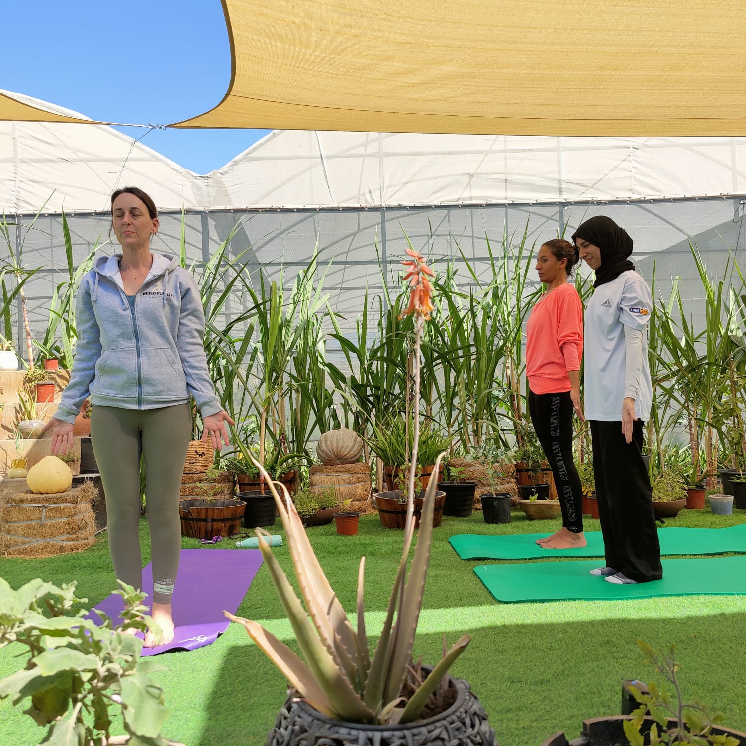 wellbeing yoga wellbeing yoga